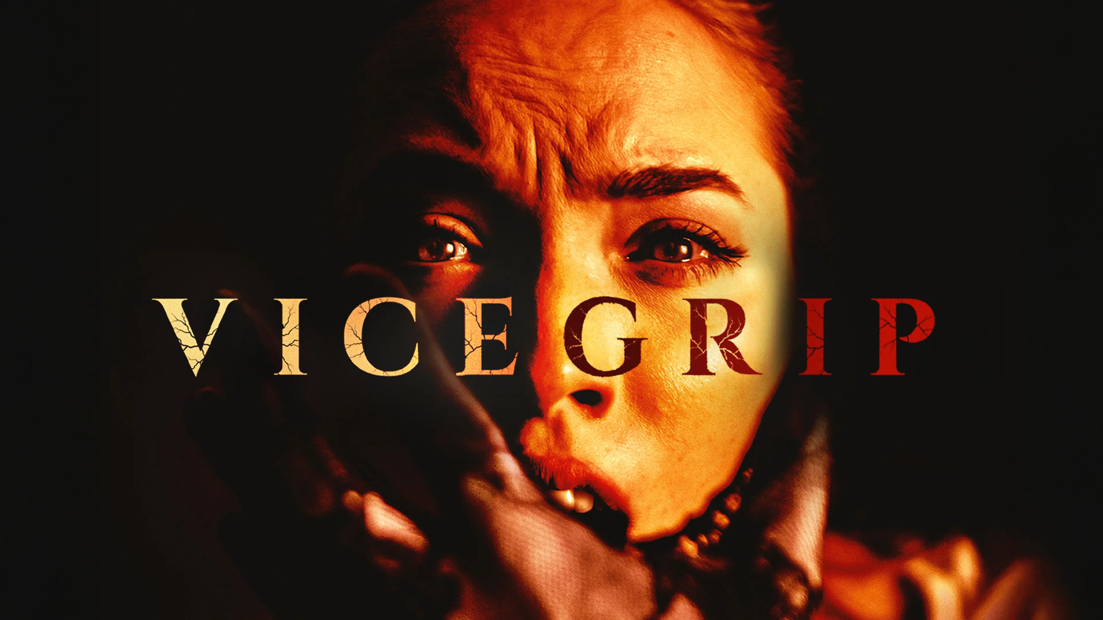 Vice Grip poster